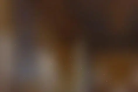 Квест «Колизей» от Монокль