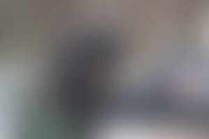 Фотография экшн-игры S.T.A.L.K.E.R. (delete) от компании Delete (Фото 2)