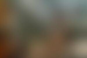 Фотография квеста Партизаны от компании Партизаны (Фото 3)