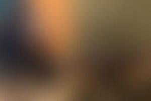 Фотография квеста Партизаны от компании Партизаны (Фото 5)