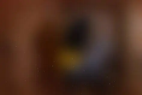 Квест «По следам Колумба» от Побег